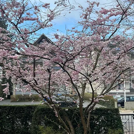 Dünenhaus Garten